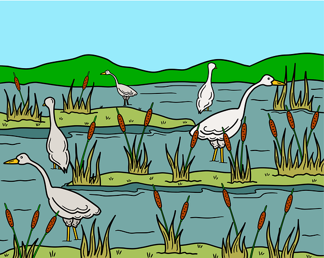 Роль стартапов в развитии цифровой экономики