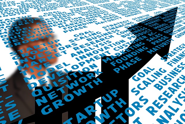 Как масштабировать стартап: эффективные стратегии роста