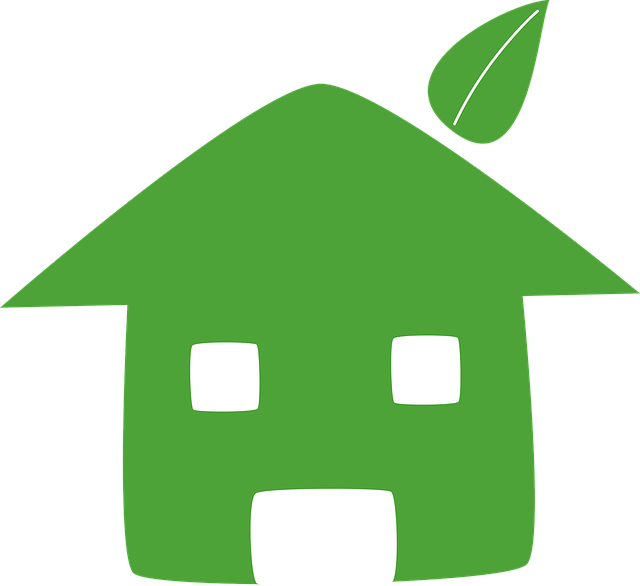 Почему устойчивое развитие важно для стартапа: экологический аспект